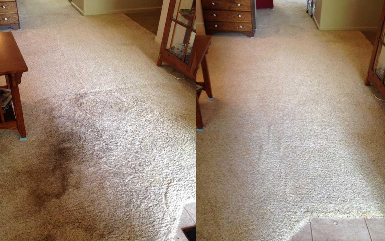 Carpet Before & After