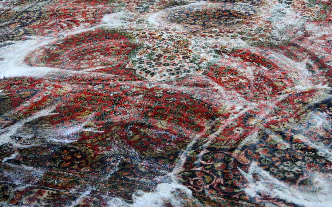 Carpet Cleaning Service In Auburn Ca