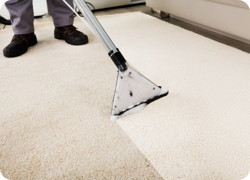 Carpet Cleaning Service In Auburn California