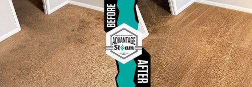 Carpet Cleaning Service Auburn Ca Before After 106