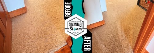 Carpet-cleaning-service-auburn-ca-before-after-46