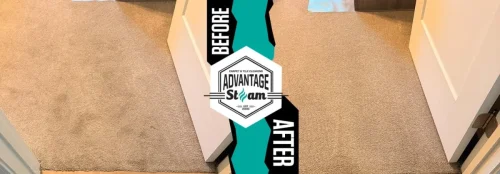 Carpet-cleaning-service-auburn-ca-before-after-50