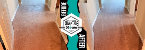 Carpet-cleaning-service-auburn-ca-before-after-81