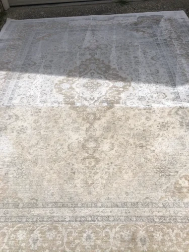carpet-cleaning-service-auburn-ca-20