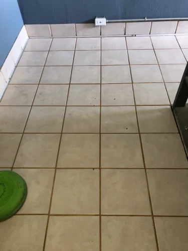 carpet-cleaning-service-auburn-ca-28