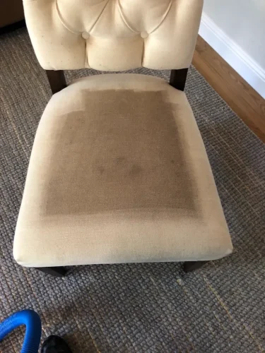 carpet-cleaning-service-auburn-ca-30