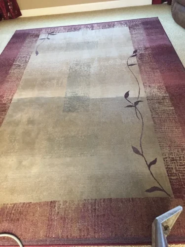 carpet-cleaning-service-auburn-ca-35