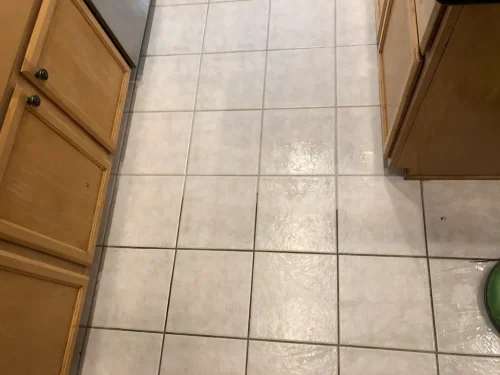 carpet-cleaning-service-auburn-ca-44