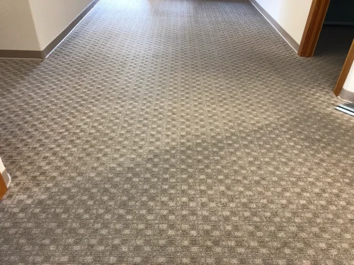 carpet-cleaning-service-auburn-ca-45