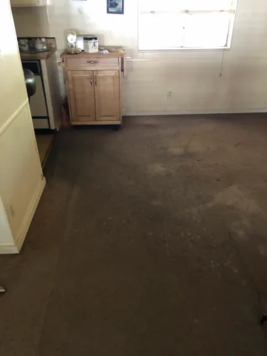 carpet-cleaning-service-auburn-ca-47