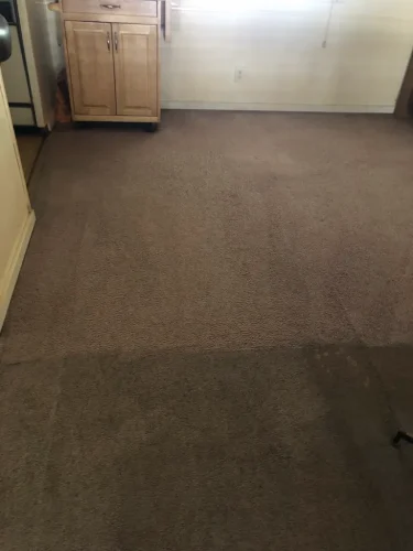 carpet-cleaning-service-auburn-ca-48