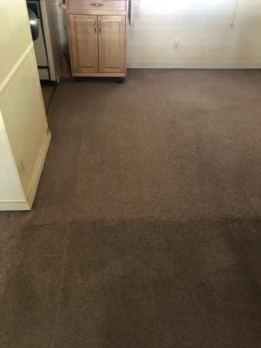 carpet-cleaning-service-auburn-ca-49