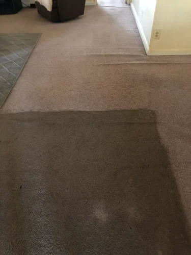 carpet-cleaning-service-auburn-ca-51