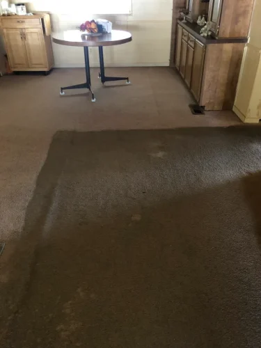 carpet-cleaning-service-auburn-ca-52