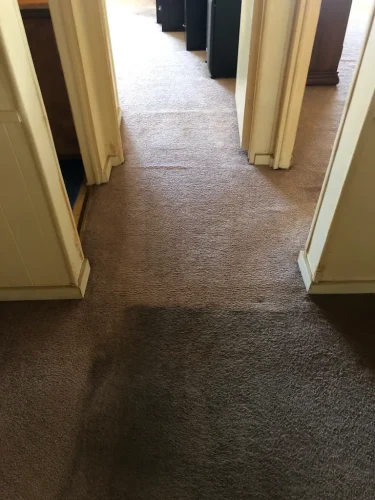 carpet-cleaning-service-auburn-ca-53