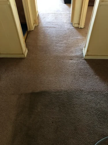 carpet-cleaning-service-auburn-ca-54