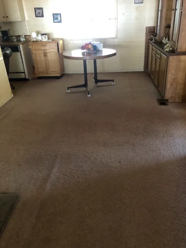 carpet-cleaning-service-auburn-ca-55