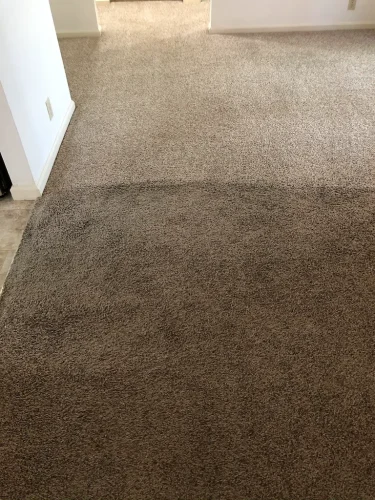 carpet-cleaning-service-auburn-ca-56
