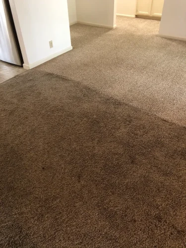 carpet-cleaning-service-auburn-ca-57