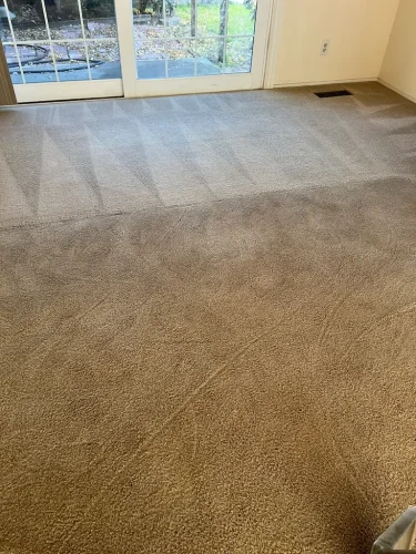 carpet-cleaning-service-auburn-ca-58
