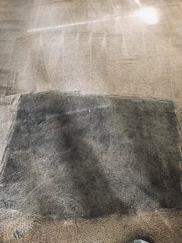 carpet-cleaning-service-auburn-ca-60