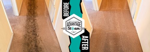 carpet-cleaning-service-auburn-ca-before-after-70