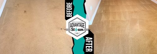 carpet-cleaning-service-auburn-ca-before-after-71